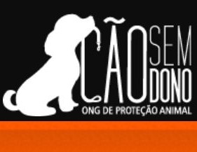 www.caosemdono.com.br