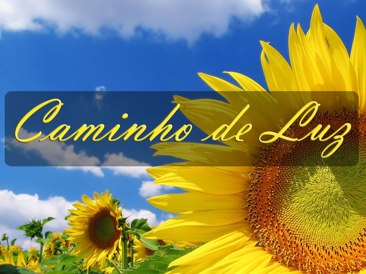 Caminho de Luz - Logotipo
